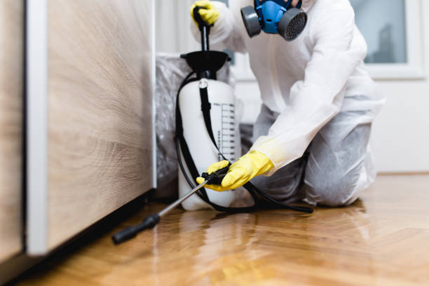Best Local Pest Control Services  in Waverly, TN