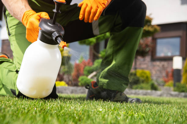 Best Pest Removal Services  in Waverly, TN