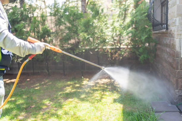 Best Wasp Removal Services  in Waverly, TN