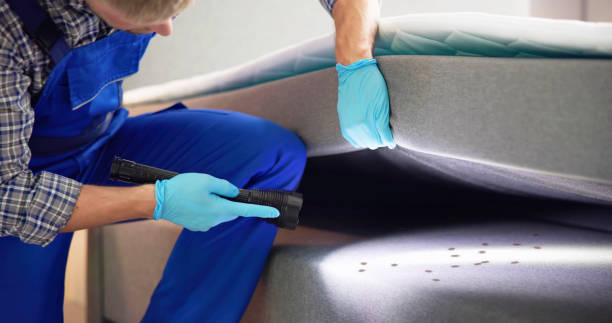 Best Pest Prevention Services  in Waverly, TN