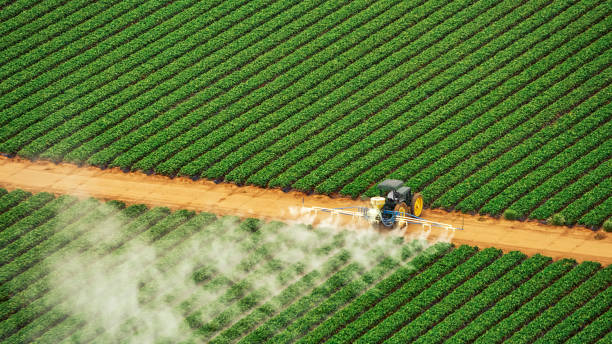 Best Termite Control Services  in Waverly, TN