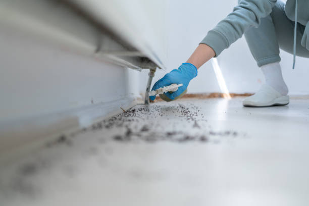 Best Pest Control Near Me in Waverly, TN