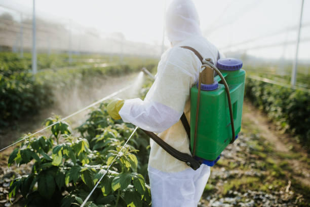 Best Insect Control  in Waverly, TN